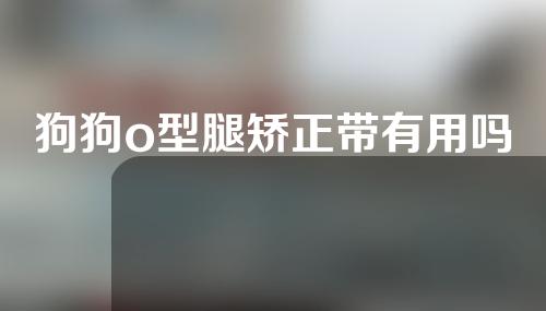 狗狗o型腿矫正带有用吗