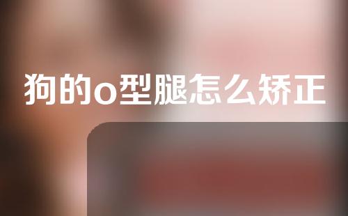 狗的o型腿怎么矫正