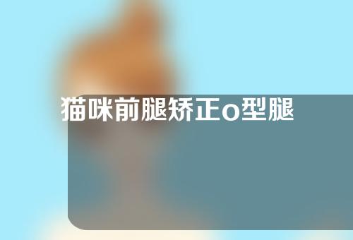 猫咪前腿矫正o型腿