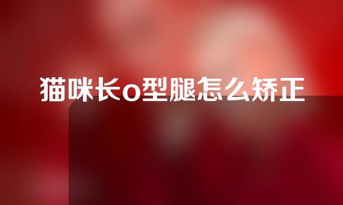 猫咪长o型腿怎么矫正