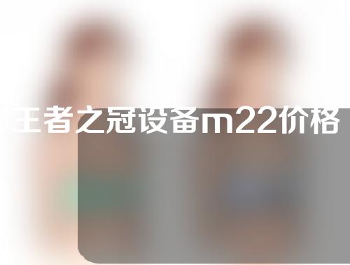 王者之冠设备m22价格