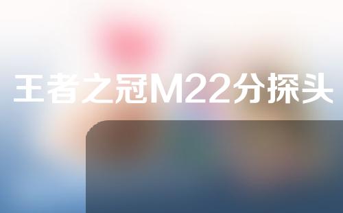 王者之冠M22分探头