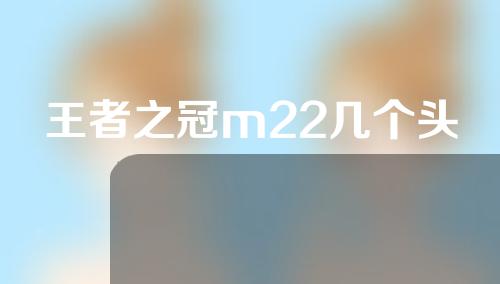 王者之冠m22几个头