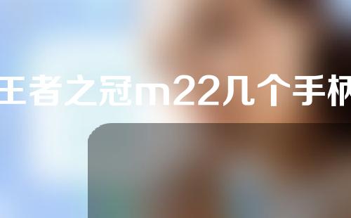 王者之冠m22几个手柄