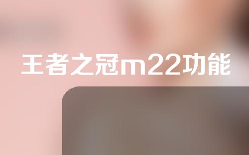 王者之冠m22功能