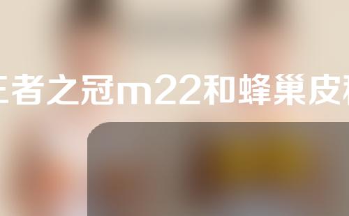 王者之冠m22和蜂巢皮秒