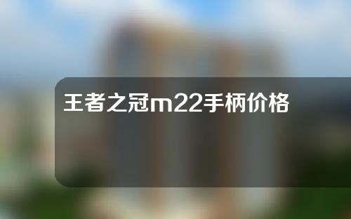 王者之冠m22手柄价格