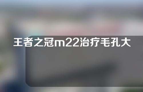 王者之冠m22治疗毛孔大