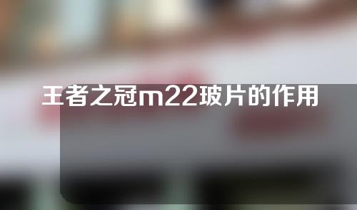 王者之冠m22玻片的作用