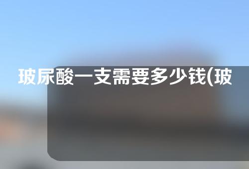 玻尿酸一支需要多少钱(玻尿酸一支需要多少钱左右)