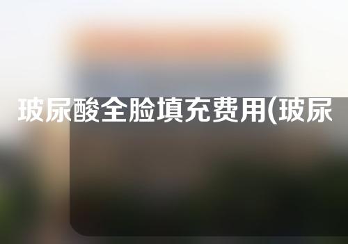 玻尿酸全脸填充费用(玻尿酸全脸填充：一举返老还童的秘密)