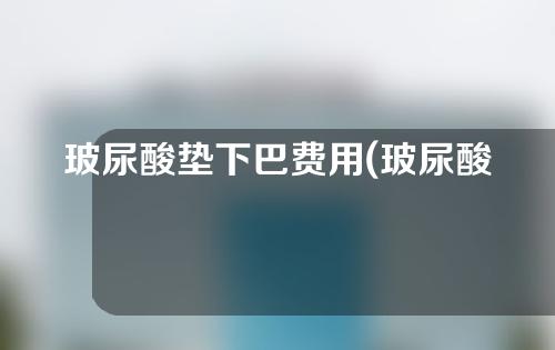 玻尿酸垫下巴费用(玻尿酸垫下巴费用高吗)