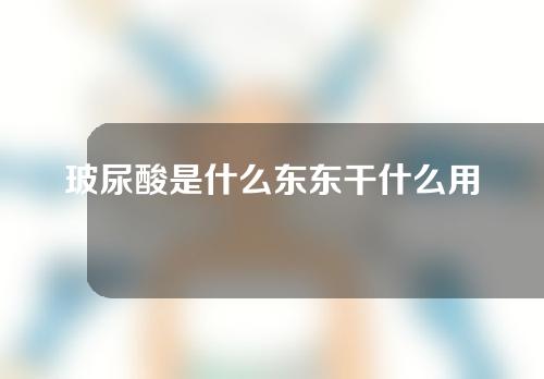 玻尿酸是什么东东干什么用的(玻尿酸是什么东东干什么用的呢)