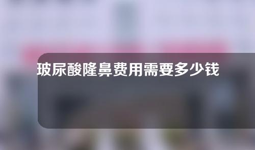 玻尿酸隆鼻费用需要多少钱？玻尿酸隆鼻费用需要多少钱呢