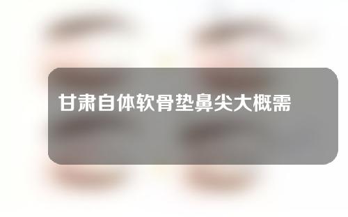 甘肃自体软骨垫鼻尖大概需要多少钱(自体软骨垫鼻子费用一般多少钱啊)