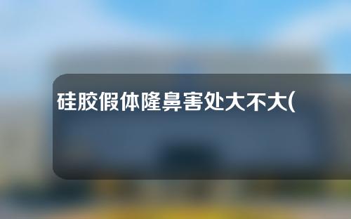 硅胶假体隆鼻害处大不大(硅胶假体隆鼻害处大不大呀)