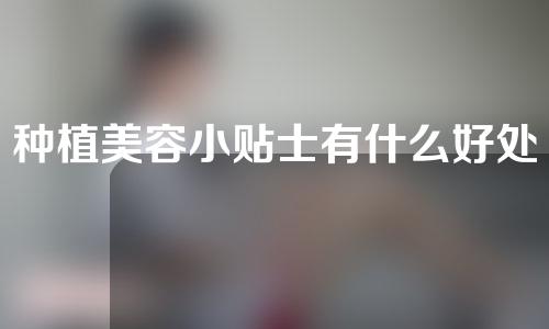 种植美容小贴士有什么好处？种植美人尖后有什么危害吗？