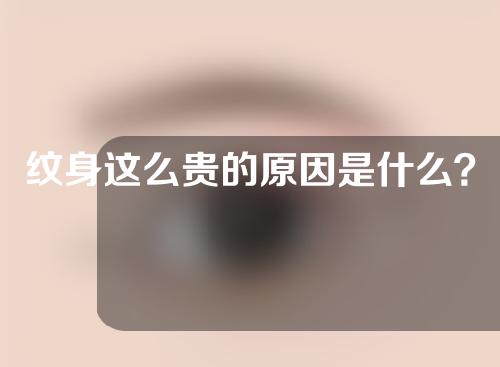 纹身这么贵的原因是什么？