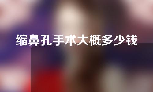 缩鼻孔手术大概多少钱