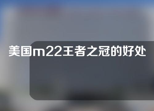 美国m22王者之冠的好处