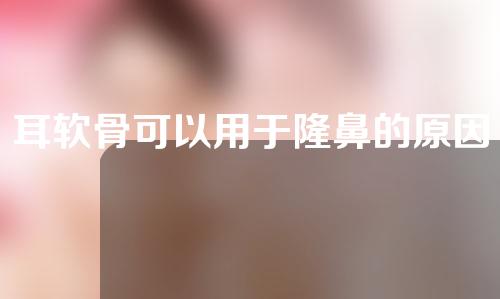 耳软骨可以用于隆鼻的原因是什么？