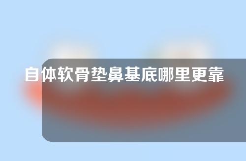 自体软骨垫鼻基底哪里更靠谱一些(用自体软骨垫鼻基底，选择靠谱的地方)