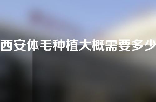 西安体毛种植大概需要多少钱(西安体毛种植大概需要多少钱呢)