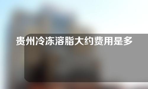 贵州冷冻溶脂大约费用是多少(冷冻溶脂减肥大概要多少钱)
