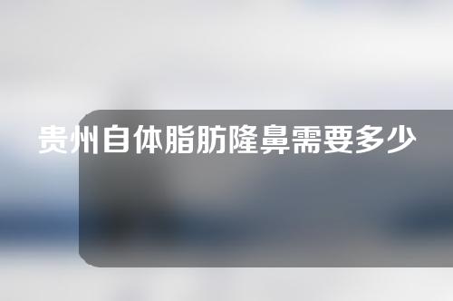 贵州自体脂肪隆鼻需要多少费用(贵州自体脂肪隆鼻需要多少费用呢)