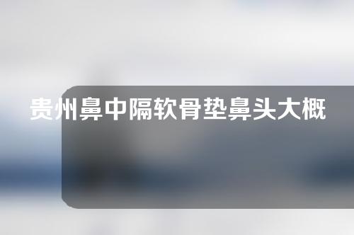 贵州鼻中隔软骨垫鼻头大概需要多少钱(鼻中隔软骨垫鼻头可以取出吗)