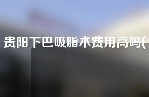 贵阳下巴吸脂术费用高吗(贵阳吸脂医院排名)