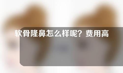 软骨隆鼻怎么样呢？费用高不高