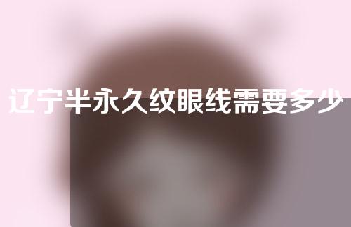 辽宁半永久纹眼线需要多少费用(辽宁半永久纹眼线需要多少费用呀)
