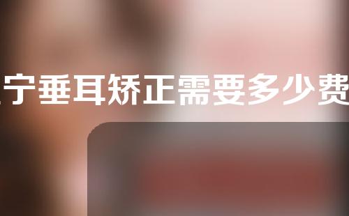 辽宁垂耳矫正需要多少费用(辽宁垂耳矫正需要多少费用呢)