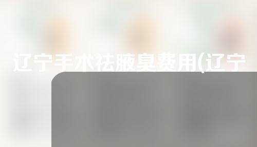 辽宁手术祛腋臭费用(辽宁手术祛腋臭费用多少)