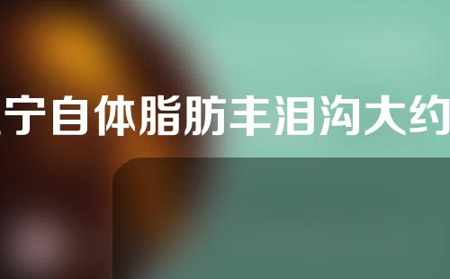 辽宁自体脂肪丰泪沟大约费用是多少(自体脂肪丰泪沟多少钱)