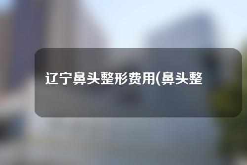 辽宁鼻头整形费用(鼻头整形手术价格)