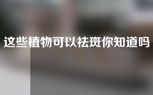 这些植物可以祛斑你知道吗