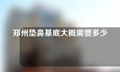 郑州垫鼻基底大概需要多少钱(郑州垫鼻基底大概需要多少钱一次)