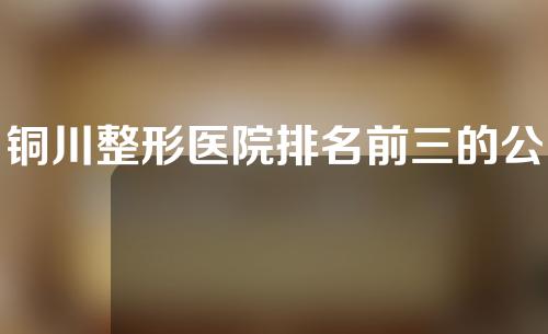 铜川整形医院排名前三的公立医院，人民医院，中医医院，妇幼保健医院都在榜上