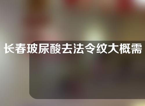 长春玻尿酸去法令纹大概需要多少钱(长春打玻尿酸去哪家)