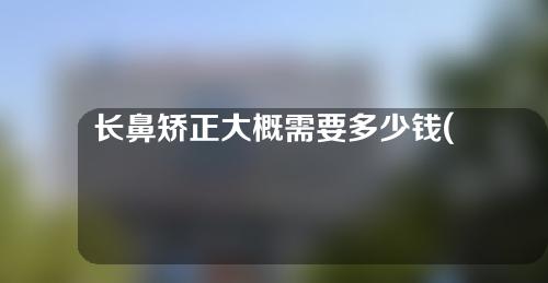 长鼻矫正大概需要多少钱(“鼻矫正费用大揭秘！大约需要多少钱进行长鼻矫正术？”)