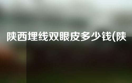 陕西埋线双眼皮多少钱(陕西埋线双眼皮多少钱一次)