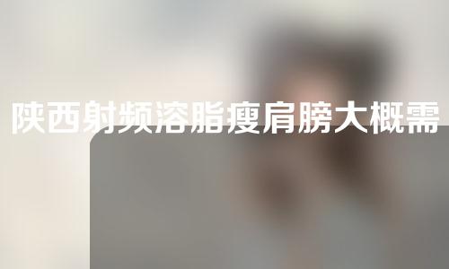 陕西射频溶脂瘦肩膀大概需要多少钱(射频溶脂一次瘦多少)