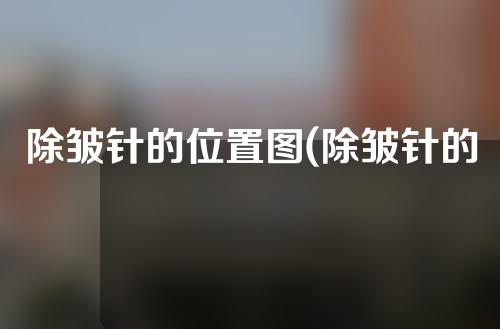 除皱针的位置图(除皱针的位置图片)