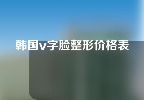 韩国v字脸整形价格表