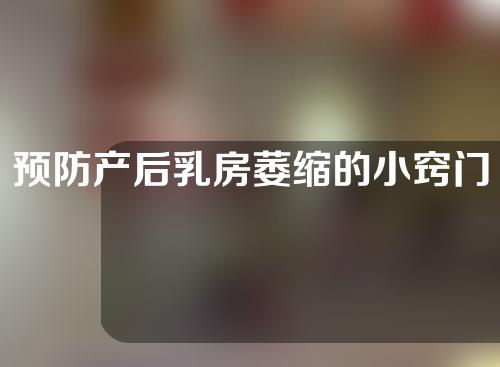 预防产后乳房萎缩的小窍门