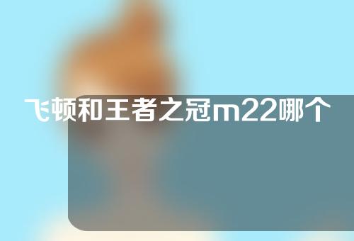 飞顿和王者之冠m22哪个好