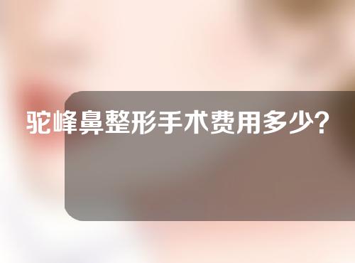 驼峰鼻整形手术费用多少？