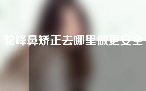 驼峰鼻矫正去哪里做更安全一些(找到最安全的地方进行驼峰鼻矫正：一站式指南)